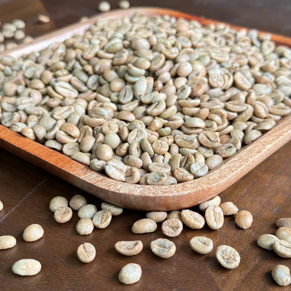 Wholesale Green Bean Coffee Factory Price Robusta Bean Filter Coffee Fruity Taste From Vietnamese Manufacturer 4