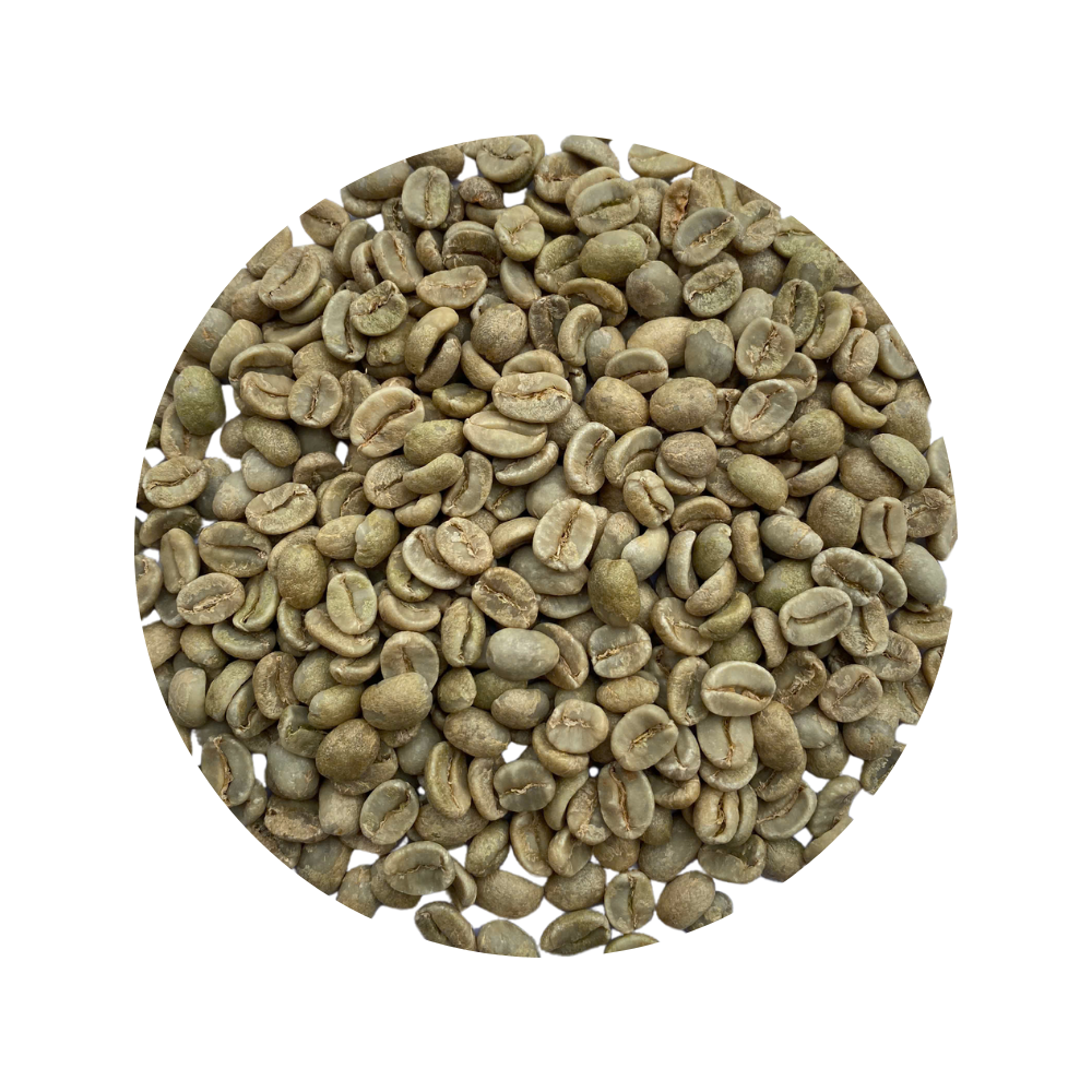 Wholesale to Coffee Variety Raw Coffee Bean Arabica Cafe Green Cup Beans Competitive Price with Quality Packaging Manufacturing 4