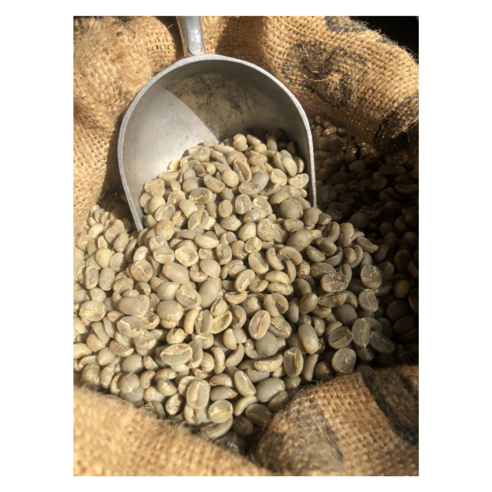 Wholesale to Coffee Variety Raw Coffee Bean Arabica Cafe Green Cup Beans Competitive Price with Quality Packaging Manufacturing 5