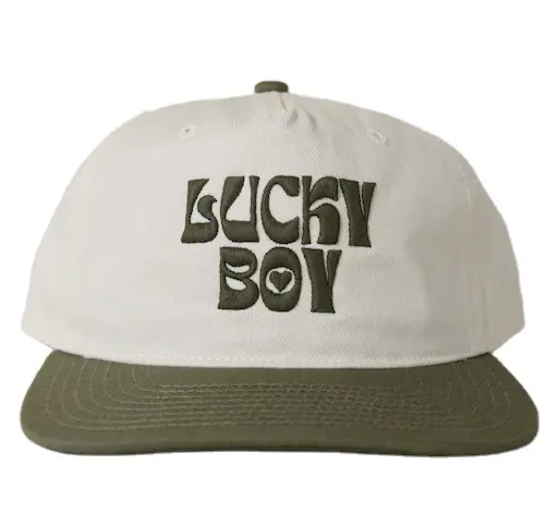 Vietnam Made 3D Embroidered Custom Logo Snapback Caps Two Tone Hat Adjustable Gorras For Men Women Casual Travel Promotion L01 2