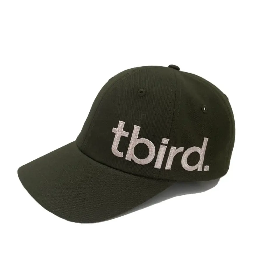 Wholesale Custom 2D Embroidery Curved Brim Multi Color High Quality Cotton/Polyester Fabric Baseball Cap in Vietnam Factory