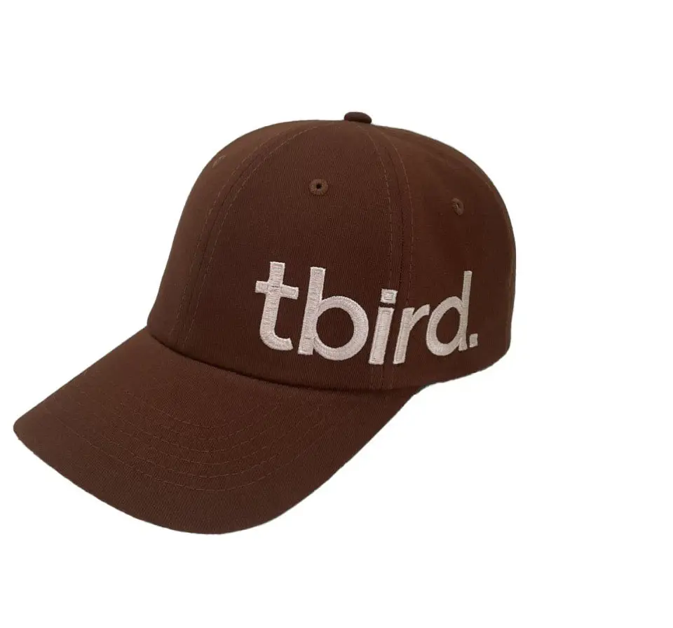 Wholesale Custom 2D Embroidery Curved Brim Multi Color High Quality Cotton/Polyester Fabric Baseball Cap in Vietnam Factory 4